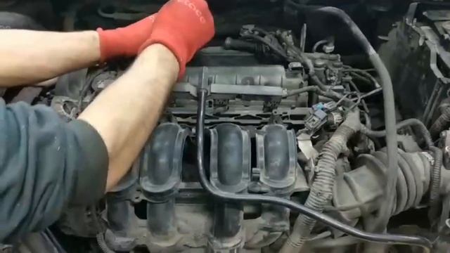 Двигатель Ford для Focus III 2011-2019 смотреть онлайн