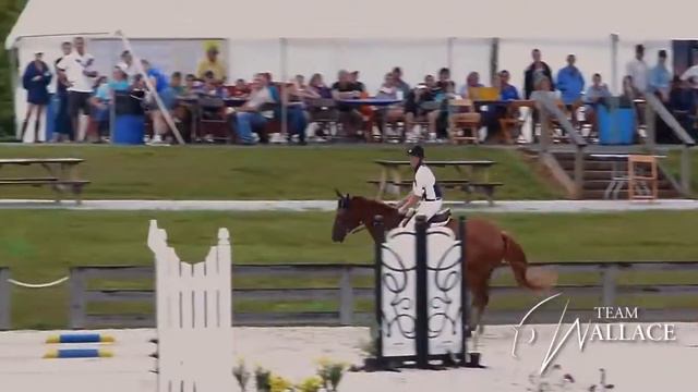 Неудачный конкур смотреть онлайн