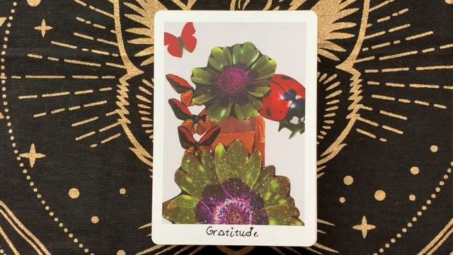 12 days of giftmas: vision of the muse oracle смотреть онлайн