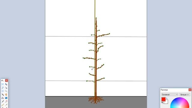 Обрезка яблони, часть 3. Супер веретено в интенсивных сада. Pruning aplle, part 3. Super Spindle. смотреть онлайн