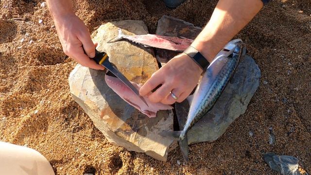 How to catch Mackerel - Catch Clean Cook Oak Smoked Mackerel Beach Fire Survival смотреть онлайн