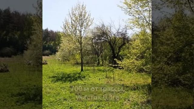 Продам участок земли под агроусадьбу в Барановичском районе Кутовщина смотреть онлайн