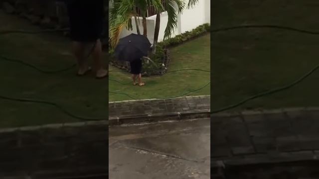 Женщина не в адеквате !!! Поливает газон под дождем ?в любую погоду ..... смотреть онлайн