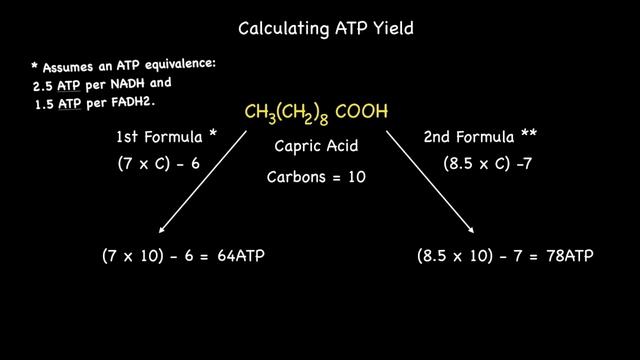 Quick Formula: Calculating ATP Yield From Beta Oxidation of Even Numbered Saturated Fatty Acids смотреть онлайн