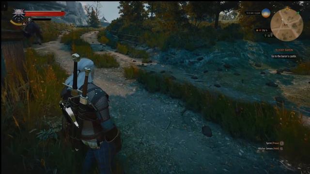 The Witcher 3: Wild Hunt Next-Gen Playthrough #5 смотреть онлайн