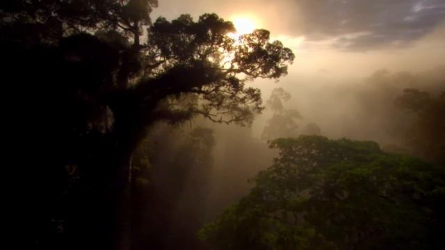La Nature Parle: Sophie Marceau est Mère Nature смотреть онлайн