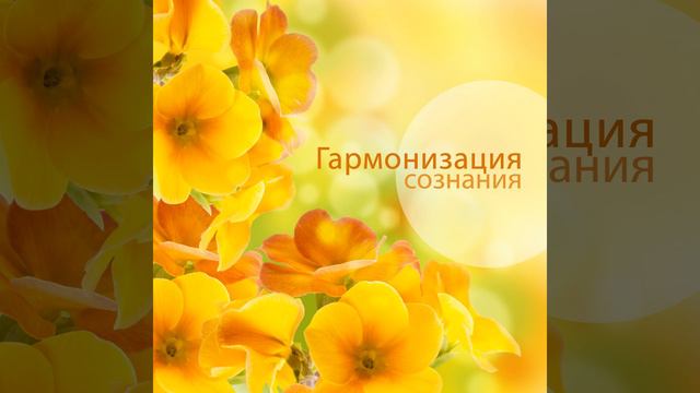 Успокаивающее флейта смотреть онлайн