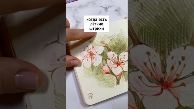 Основные ошибки рисования цветными карандашами ? смотреть онлайн