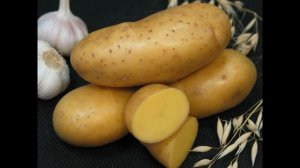 Обзор сорта картофеля "Императрица" (характеристики, свойства, фото)