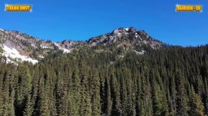 ТЕТЯ РАЗВЛЕКАЛА СОБСТВЕННОГО ПЛЕМЯННИКА / РЕАЛЬНЫЕ ИСТОРИИ