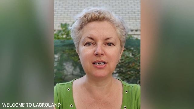 ??? Мясо-костная мука: польза и вред смотреть онлайн