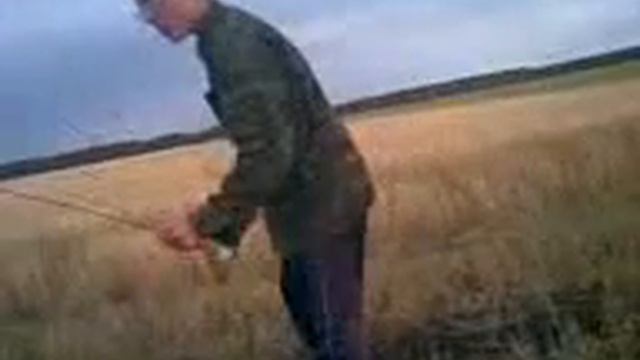 Гарри поттер так не может2323 смотреть онлайн