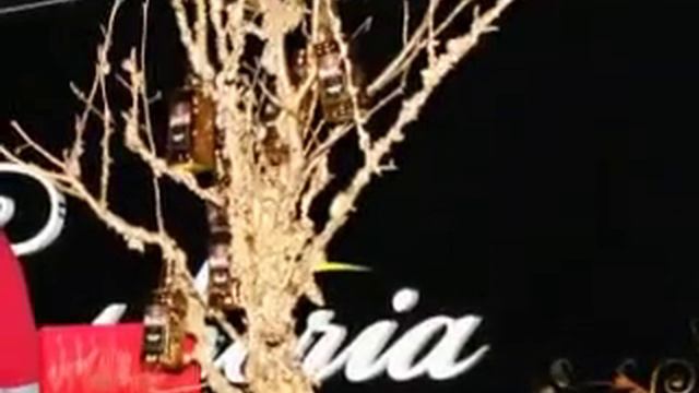Olmeca golden stars смотреть онлайн