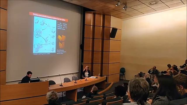« Une aristocratie à l'Âge de pierre ? » - 14 - C. Birouste - exposé et discussion смотреть онлайн