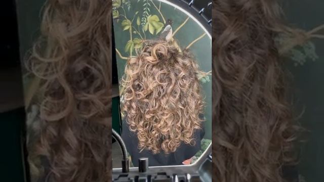 Окрашивание корней от мастера Лены. Салон красоты Нота Бене СПБ смотреть онлайн