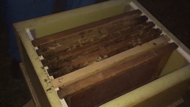 Сборка гнезда пчёл в зиму. смотреть онлайн