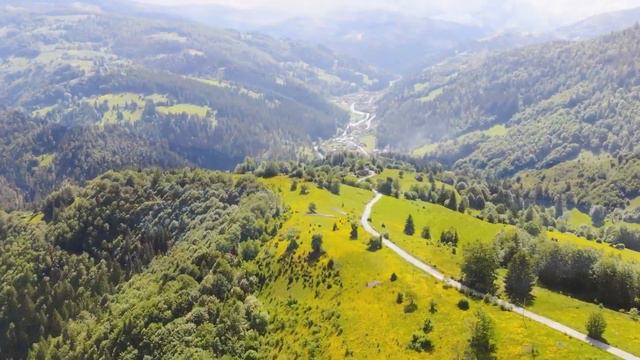 Musica Curativa Por Trastornos De Ansiedad, Miedos, Depresion Y Eliminar Pensamientos Negativos