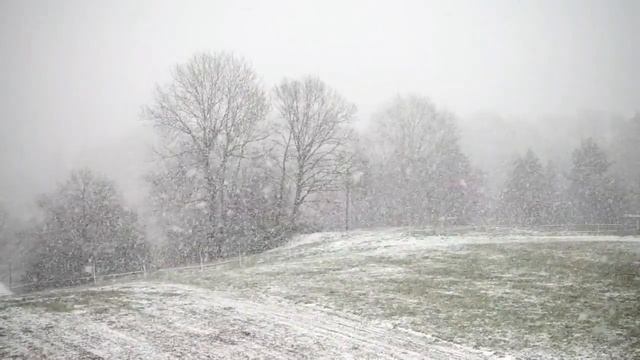 Песня под гитару За окном ела сало синица или просто Варежки. смотреть онлайн