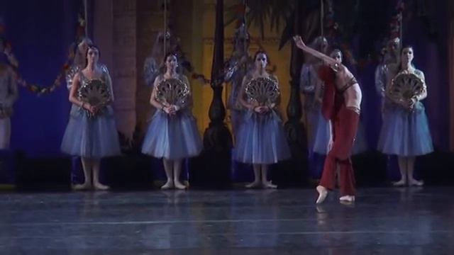 Л. Минкус Баядерка(La Bayadère)-змея А Шевченко смотреть онлайн