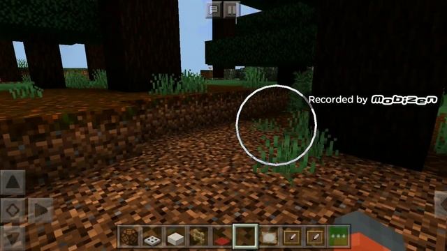 I Found A Cute Sleeping Fox In Minecraft Pe