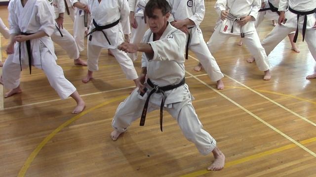 Rick Hotton Sensei   Beyond Form