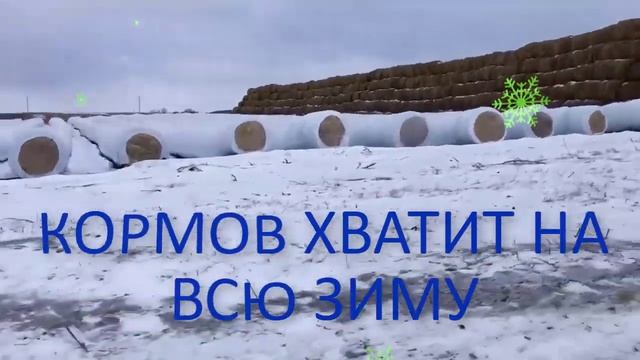 Практические примеры хранения сена и сенажа зимой смотреть онлайн