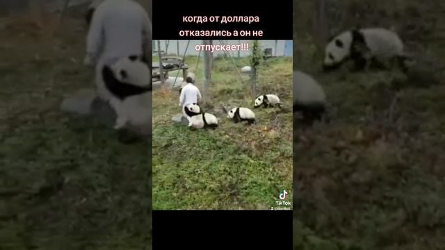 про доллары смотреть онлайн