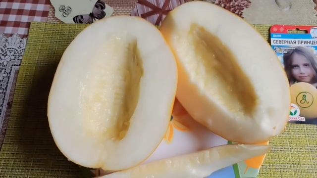 ДЫНИ. На северо-западе. Подводим итоги. Делаем выводы. смотреть онлайн