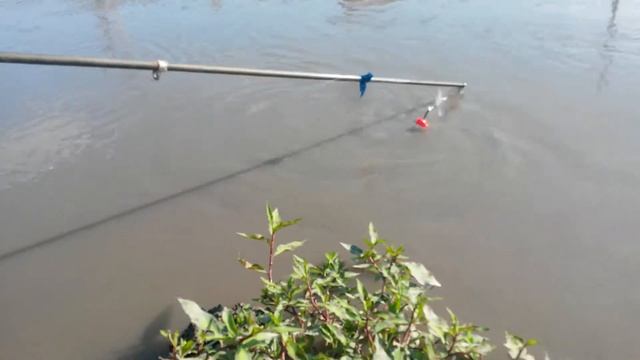 Чеченские мальчики ловят рыбу смотреть онлайн