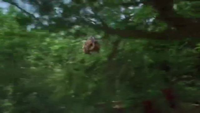 Best New Movies 2023 - Jeannie Parker (19)