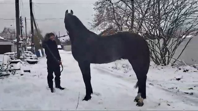 28 ноября 2023 г. смотреть онлайн