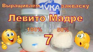 Закваска на винограде Левито Мадре. Часть 7. День 6. Мой эксперимент))