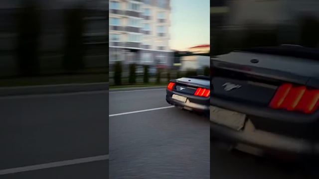 Rich Car Sochi аренда кабриолетов и авто с крышей на любой бюджет! Rich-car.ru смотреть онлайн