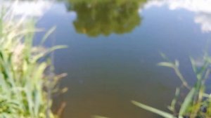 Рыбалка. Как очистить дно от водорослей.