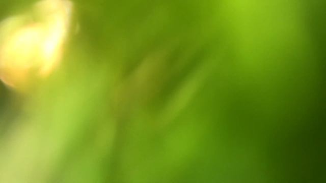 Необходимые аксессуары для велосипеда (Велосипед FORMAT 1412 29” (2018) Black) смотреть онлайн