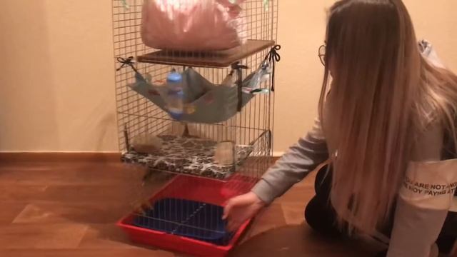 Полезные советы & наша клетка спустя 6месяцев смотреть онлайн