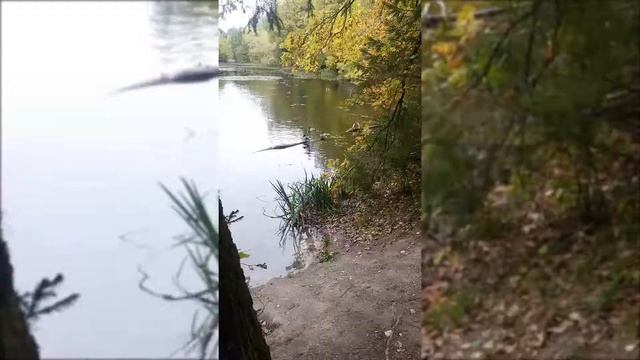 Утренняя прогулка Москва Пятницкие кварталы 27.09.2019 смотреть онлайн