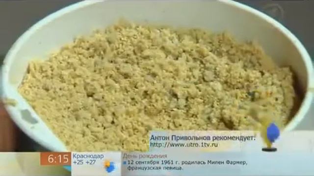 Утро на первом. Вся правда о зеленом кофе (с имбирем). смотреть онлайн