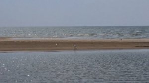 ПЛЯЖ Левый Берег. МАРИУПОЛЬ