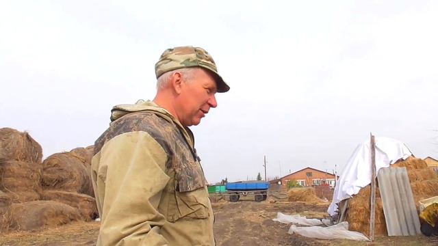 Бажениты планы на лпх эстафета челенж отдали следующему смотреть онлайн
