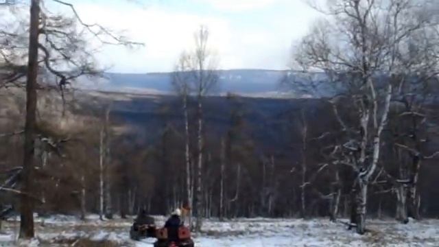 На квадроцикле по лесу. Часть 2 смотреть онлайн