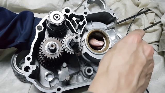 Сборка двигателя мопеда альфа дельта с нуля смотреть онлайн