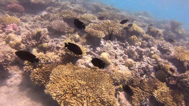 Hurghada Vacation 2019 4K Version