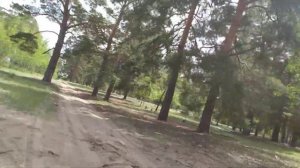 путешествие по Алтайскому краю! лес, озеро и кролики . жизнь в Алтайском крае это счастье