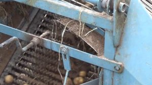 Уборка урожая картофеля польским комбайном анна