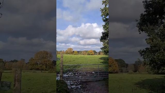 Прогулка по осеннему парку смотреть онлайн