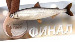 РУССКАЯ РЫБАЛКА 4 - Вечерний Лайт ФИНАЛ / Тунгуска - Ряпушка сибирская Максимальный вес / Стрим