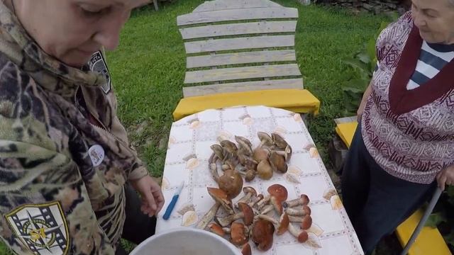 ГДЕ ИСКАТЬ ПОДОСИНОВИКИ КРАСАВЦЫ СОБИРАЕМ И КОПАЕМ ASPEN HANDSOME COLLECT AND DIG смотреть онлайн