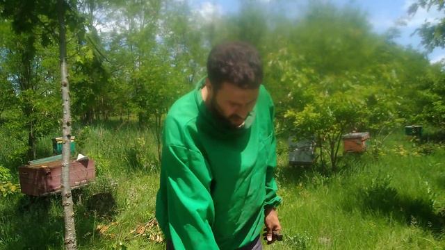 Облет пчеломаток восемь з десятка. Заключительный обзор (часть 4) смотреть онлайн