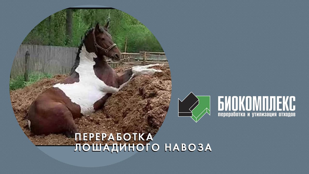 Переработка лошадиного навоза смотреть онлайн